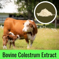 Bovine Colostrum Extract